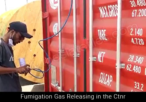 Fumigation Gas Releasing in the Ctnr